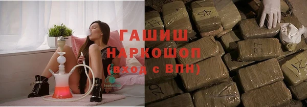 гашик Богданович