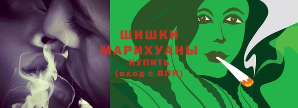 стаф Богородск