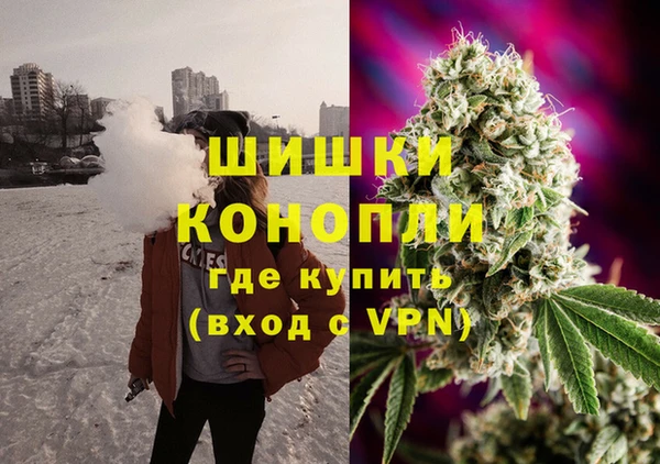 стаф Богородск
