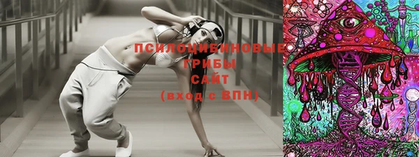 гашик Богданович