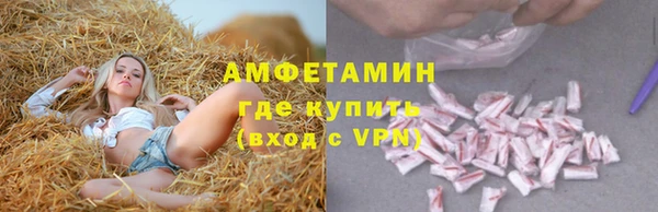 гашик Богданович