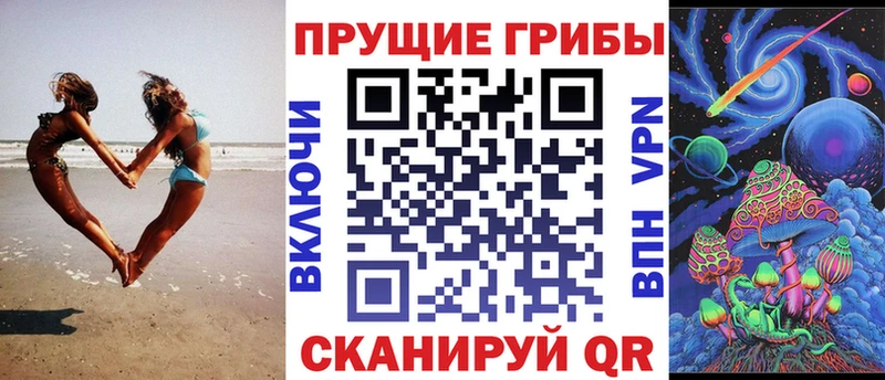 Купить где  Баймак  Псилоцибиновые грибы Magic Shrooms 